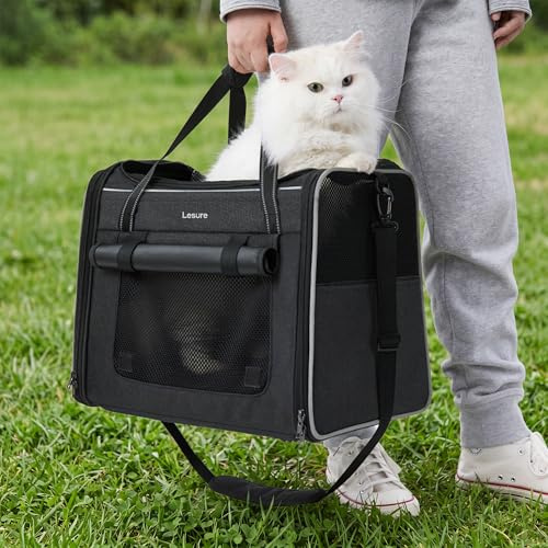 Lesure Faltbare Katzentransporttasche für Reisen, 43.5x29.5x34 cm, Schwarz | Formstabile Katzentransporttasche Mit Atmungsaktivem Mesh, Auto-Sicherheitsgurt, Schultergurt und Herausnehmbarer Matte
