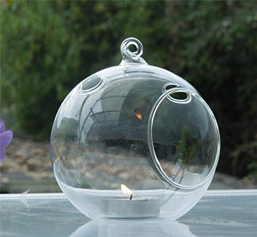 Premium Qualité Verre Suspendu Plante Pot Fleur Air Plante Titulaire Sucuulent Cactus Plantes Pots Conteneur Clair Vase En Verre Boule De Thé Lumière Bougeoir-1 PC Pratique et utile