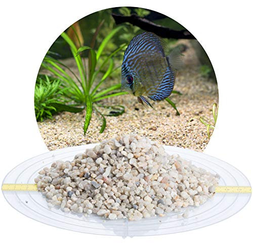 Schicker Mineral Aquariumkies beige 25 kg, grober Aquariumsand gewaschen, ungefärbt, kantengerundeter Bodengrund, Kies für Süßwasseraquarien, Meerwasseraquarien, Aquascaping (Ø Körnung: 3,15-5,6 mm)