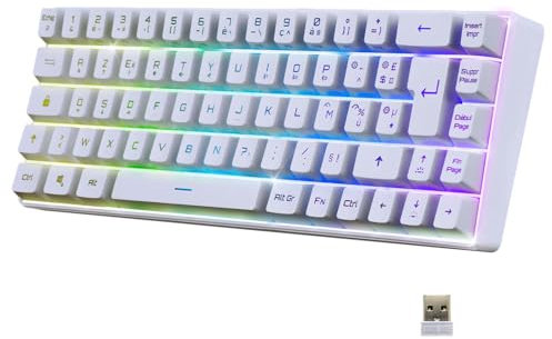 EMPIRE GAMING - K508 Clavier Gaming Sans Fil Compact TKL 65% (AZERTY FR) - via 2.4G/ Type-C - Compatible Console de Jeu/PC/Mac - RGB - 68 Touches - 23 Touches Anti-Ghosting - Bianco
