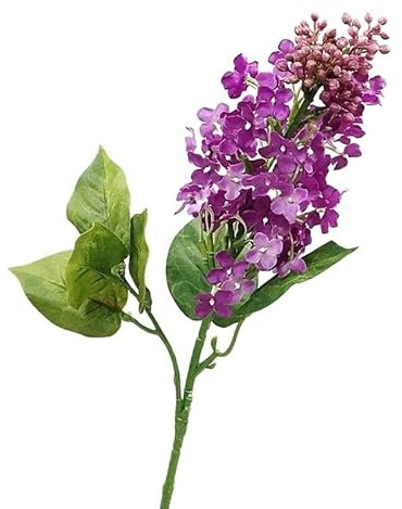 HXSCOO Lilas Branche Soie Fleurs Artificielles Décor À La Maison Flores Artificiales Blanc Chambre Décoration Adolescent Déco Mariage Mariage (Color : B 1PCS)