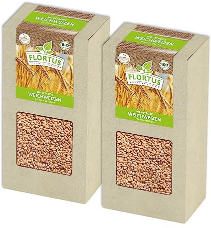 FLORTUS BIO Weichweizen Getreide Samen 400g | Ertragreicher Weizen zur Herstellung von Mehl Weizenkleie Katzengras & Microgreens | Sprossen Samen