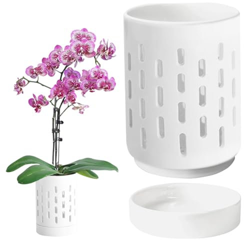 Comebachome Orchideentöpfe mit Löchern, 4 -Zoll -Keramik -Orchideen -Topf mit Untertasse, kleine Orchideentöpfe zum Wiederholung