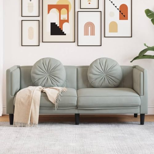 Willood Sofa mit Kissen 2-Sitzer Hellgrau Samt, Polstersofa Loungesofa Couch für Wohnzimmer, Designsofa Wohnzimmersofa Sitzmöbel, Modern