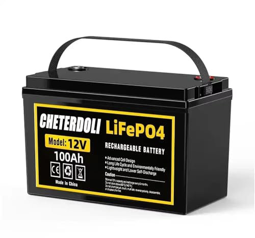 LiFePO4 12V 100Ah LiFePO4 Paquete de batería de fosfato de hierro de litio BMS 5000 ciclos incorporados para autocaravanas autocaravanas coche de golf almacenamiento solar