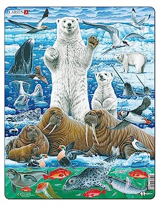 Larsen Puzzles FH42 Kinder Rahmenpuzzle, Eisbären, Walrosse, Arktisches Packeis, 46 Teile, ab 4 Jahre, Lernspielzeug, Konzentration, Natur entdecken