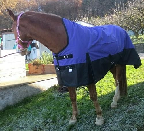 Pferdedecke Winterdecke 1200D, 200g Highneck 125, 135, 145, 155 & 165 cm Outdoordecke (Königsblau, 135 cm)