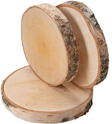 Große Holzscheiben zum Basteln oder Dekorieren - 3 Stück naturbelassene Baumscheiben ca. 20 cm (18 - 22 cm) Durchmesser aus Birkenholz - runde Holz Birkenscheiben als Holzdeko Holzplatten