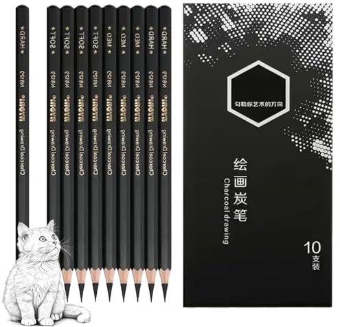 Ormromra 10 Pieces Charcoal Pencils Drawing Set, Highlight Sketch, Sketching Charcoal Sketch Drawings Pencils,Premium Wood, Pencils for Beginners, Artists and Professionals
