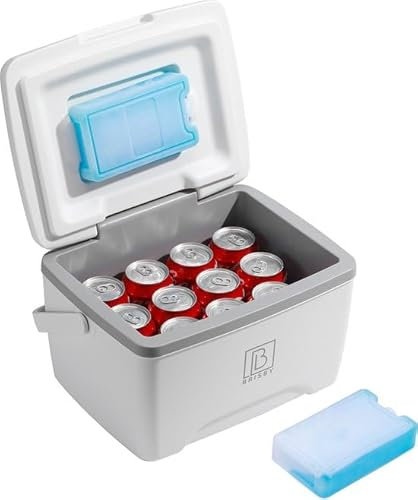 Brisby Kühlbox 8 Liter - 18 Stunden warm - 40 Stunden kühl - Inklusive 2 große Kühlelemente 450 ML -Kühltasche für Arbeit, Camping, Grillen oder Urlaub – BPA-frei