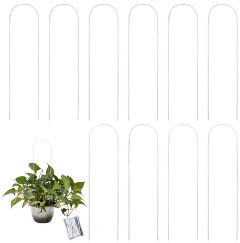 DELORIGIN 10 enrejado de plantas en forma de U para plantas trepadoras, enrejado acrílico para plantas de interior Monstera Pothos, soporte para plantas en maceta, accesorio de vid, hiedra, flores de