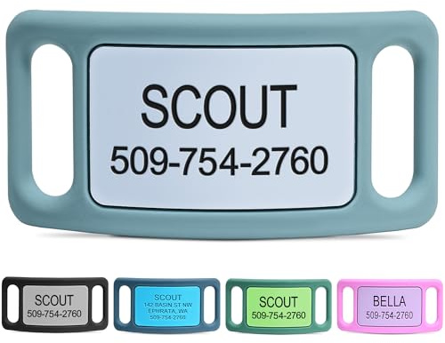 GoTags Silent Dog Tag, Personalized Engraved Silicone and Cat Name Pet ID Tags, Soundless Quiet Slide On Nameplate for Collars, No More Jingling Tags (Teal, Large)