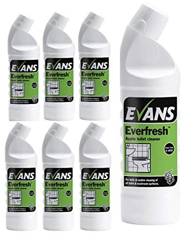 Everfresh Apple Toilet & Urinal Cleaner by Evans Vanodine 6 x 1 Litre