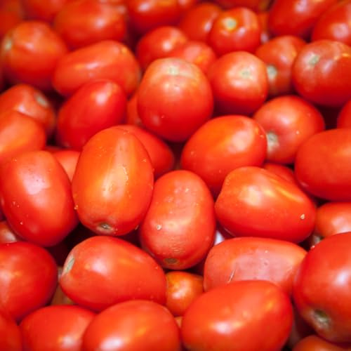 Fresh Roma Tomatoes, 25 lbs