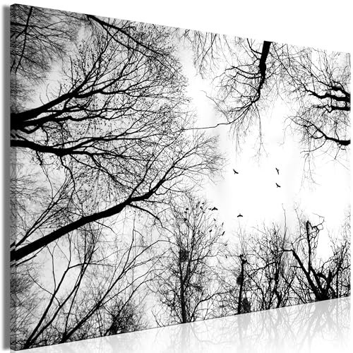murando - Akustikbild Baum 90x60 cm Bilder mit Akustikschaumstoff Hochleistungsschallabsorber Schallschutz Leinwandbild XXL 1 tlg Wandbild Wald Natur schwarz weiß n-A-0809-b-a