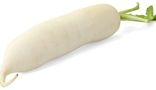 Mooli Accord Radish|Daikon|Fresh Radish ||White Radish|Root Vegetable
