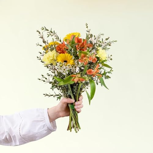 Fleurs et Délices - Petit Soleil - Fleurs Fraîches de Saison - Très Grand Bouquet Jaune et Orange, Grand Bouquet Cadeau, env. 23 Tiges