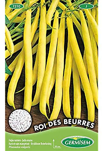 Germisem Graines Haricot nain mangetout ROI DES BEURRES