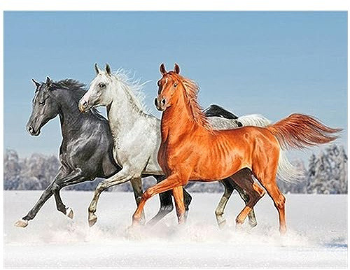 DCIDBEI Diamond Painting Pferde Quadratische Steine im Schnee 50x40cm | Stickbilder Erwachsene Landschaft Schnee Mit Eckigen Steinen Pferde und Pony Stickbilder Erwachsene Pferde Freundschaft