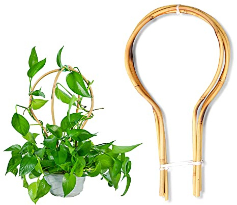 Bambus-Spalier 38,1 cm Schlaufe – runde Form für Topf-Kletterpflanzen, kleines Rankgitter für Training von Hoya, Efeu, Monstera, Gurken und Früchten – 3 Stück