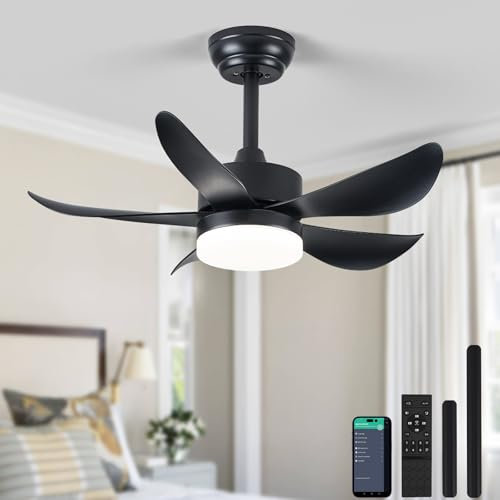 RHEAFON Ceiling Fans with Lights and Remote,30 Inch Smart Ceiling Fan,Reversible,Noiseless,Black Ceiling Fan Light 6 Speeds & Timer Ultra-Quiet for Bedroom Living Room Kitchen Indoor/Outdoor Patio