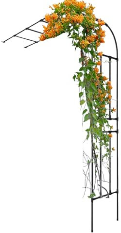 Arco de jardín de metal negro, con estructura de hierro y enrejado para plantas trepadoras y rosales para interior y exterior, césped, pérgola de patio, arco de enrejado y cenadores.(W220xH240CM(7.2x7