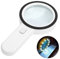 Loupe Grossissante avec 12 LED Lumière, Loupe Eclairante à Main pour Lecture, Bijoux, Seniors, Malvoyant, Observations et Travaux Manuels Blanc