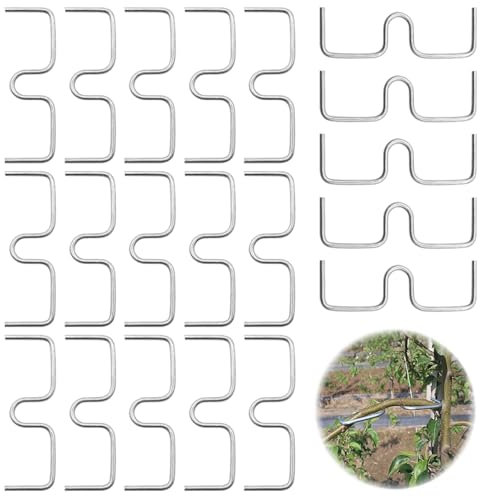 YDHfdc 20 Pièces Epandeur de Branches 10cm Extracteur de Branche d'arbre en Forme de M Branche Outil de Pliage en Métal Support pour Branches de Fruits