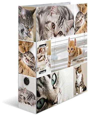 HERMA Ordner A4 Katzen Set, 10 Stück, 7 cm breit, Kinder Ringordner mit Tier Motiv, bunter Aktenordner mit Innendruck für Jungen und Mädchen