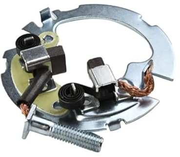 QDouiMOO Motor de Arranque Juego De Escobillas De Carbón Y Motor De Arranque para Motocicleta TRX 250 300 350 400 500