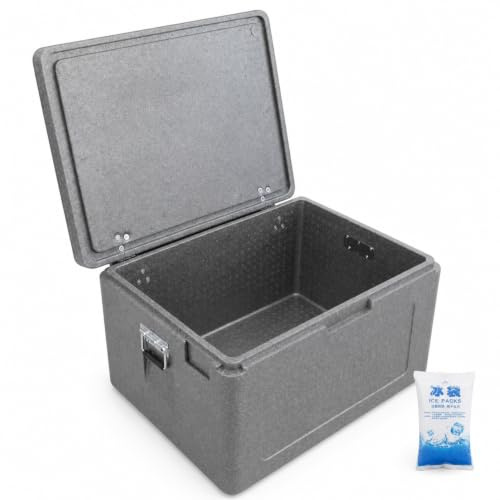Hailong Ming Conteneur Thermique Professionnel en - maintient Les Aliments Chauds et froids - pour