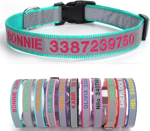 Handimake Hundehalsband mit personalisiertem Hundenamen und Telefonnummer, besticktes Nylonhalsband für kleine, mittelgroße und große Hunde, lasergraviert (Nylonhalsband)