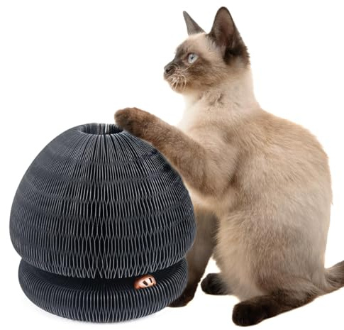 CanadianCat Company | Kratzspielzeug Champi - Kratzpappe mit Spielbällen, Spielschiene für Katzen - schwarz | Ø 16,2 x 18 cm