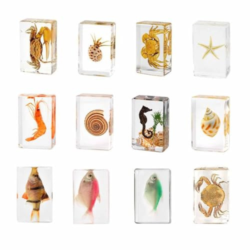 FHUILIJH 12 STÜCKE Meerestier Proben Echte Meerestier Krabbe Fisch Seepferdchen Probe Harz Schreibtisch Briefbeschwerer,Clear,2inch