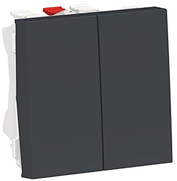 Schneider Electric NU321354 Doble Conmutador 2 Modos, Antracita