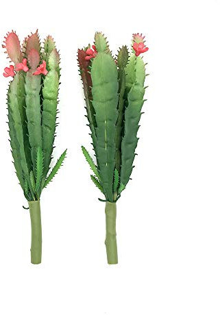 EBUYOM - Set di 2 mini piante grasse artificiali non in vaso, per bouquet di piante grasse artificiali fai da te per decorare il giardino e la casa Mini Cactus