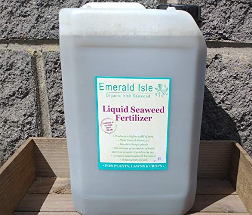 Organic Irish Seaweed Liquid Fertiliser/Fertilizer For Gardens, Flowers, Lawns, Shrubs, Organic certification IOFGA (6L)