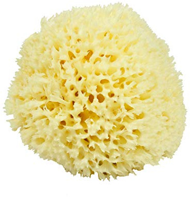 Neptune Natural Renewable Sea Wool Sponge, Hand Cut, Large, Approx. 6-7