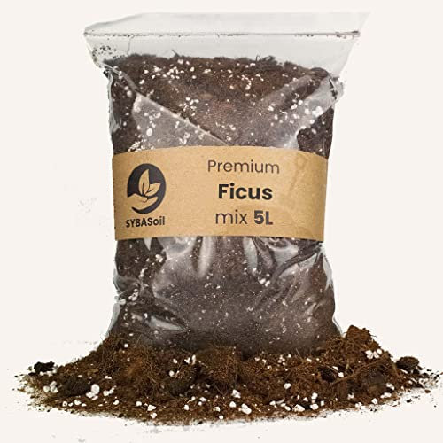 Mix terreau Premium Ficus 5L sans Tourbe, Parfait pour Olivier, citronnier, pour rempotage et bouturage. Plus de Croissance et Engrais Organique Unique. Biochar
