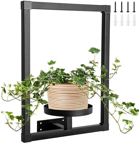 DECOHS Bilderrahmen Wand-Pflanzenhalter, Metall-Pflanzenrahmen, Wanddekoration, Wandmontage, Fenster-Pflanzenregale für Zimmerpflanzen, Wohnzimmer, Schlafzimmer, Heimbüro (schwarz)