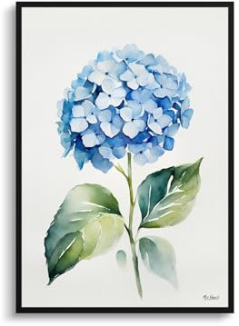 Mrs Henri's Hydrangea Minimalist Art Print Watercolour Botanical Framed Hortensia Wall Art Poster