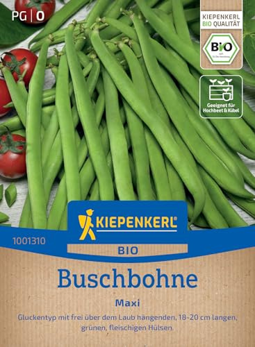 Kiepenkerl Buschbohnensamen Maxi 1001310, Gemüsesaat | Bio Gemüsesamen für Bohnen mit 18-20 cm langen Hülsen, Wuchshöhe 40–50 cm, Länge 18–20 cm, fadenlos