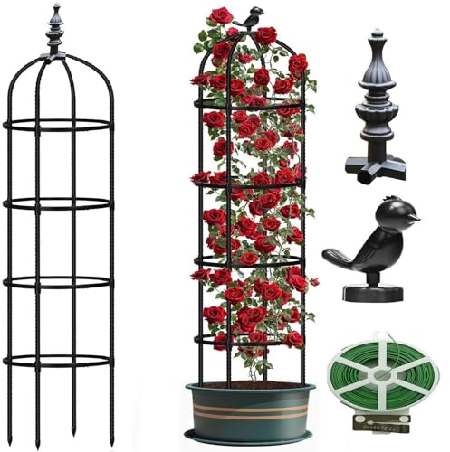 Obelisco per rose, supporto da giardino in metallo resistente alle intemperie per rose, clematidi, pomodori, piante rampicanti autoportanti, 25 cm x 90 cm, 25 cm x 120 cm, confezione da 2