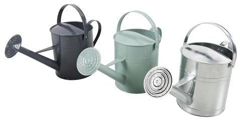 Mojawo Annaffiatoio zincato, in metallo, per irrigare il giardino, lo zinco, 5 litri, colore: argento