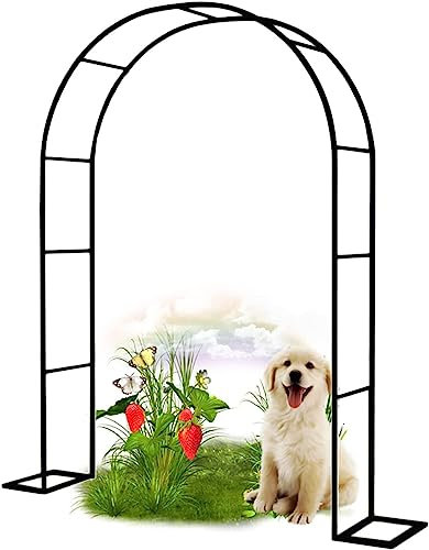 Arche Jardin pour Rosiers Plantes Grimpantes, Metal Arceau à Rosiers, Arche de Rosiers Vigne Mariage, Pergola Tonnelle de Jardin, Intérieur Extérieur Décoration de Fête,350x220x40CM