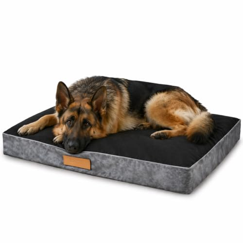 Petsen Hundematratze für mittelgroße und große Hunde, Robustes Hundebett, kratzfestes und abriebfestes Hundekissen, personalisierbar mit Namensgravur (grau + schwarz, XXL)