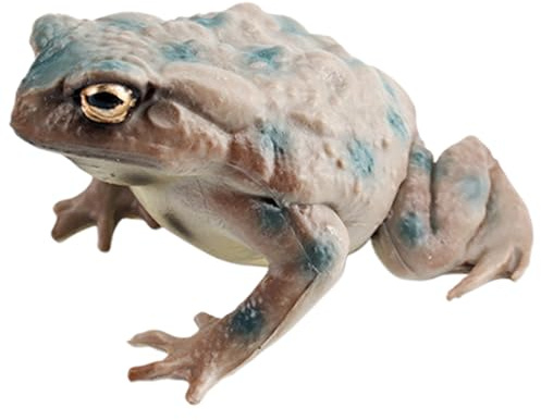 Kröte Spielzeugfigur - 2,44 Zoll PVC | Niedliches Froschmodell | Lustige Krötenstatue - Tierfiguren | Lernspielzeug Für Reptilien Zum Lernen Und Spielen, Amphibien Realist