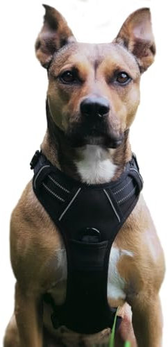 No Pull Hundegeschirr, Verstellbar Atmungsaktiv Reflektierend Weich Gepolstert Hunde Geschirr, Brustgeschirr für Hunde (Schwarz, XL)