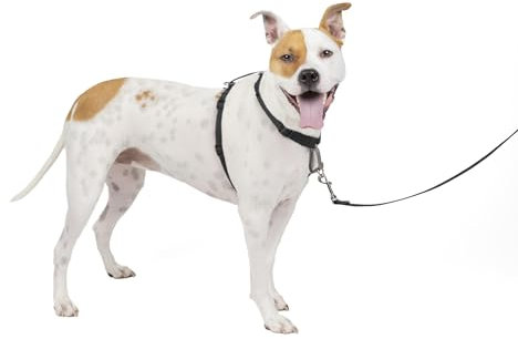 PetSafe 3-in-1 Harness - Comfortable Easy-Walk Dog Chest Harness with Front Leash Attachment to Reduce Pulling, Choking & Gagging - Dog Obedience Gear - Medium - Black