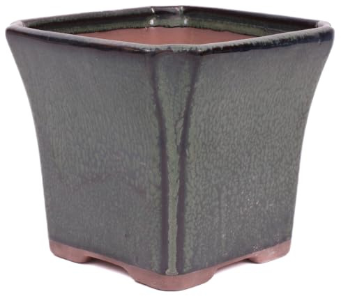 generisch Bonsai Kaskadenschale quadratisch 15.5 x 15.5 x 14 cm grün 50216